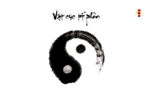 Vật cực tất phản